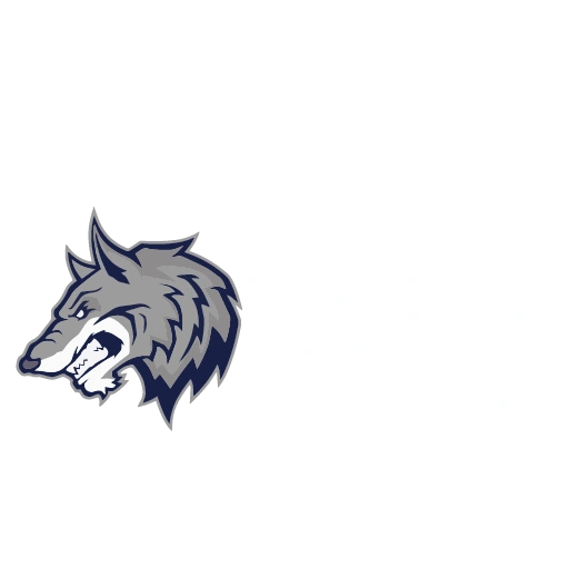 Mad Dog Racing